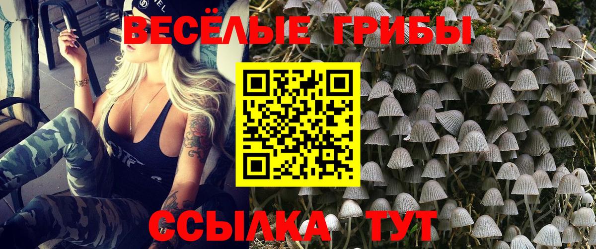 Псилоцибиновые грибы прущие грибы  Псилоцибиновые грибы мицелий  Малоярославец  Вход с VPN 